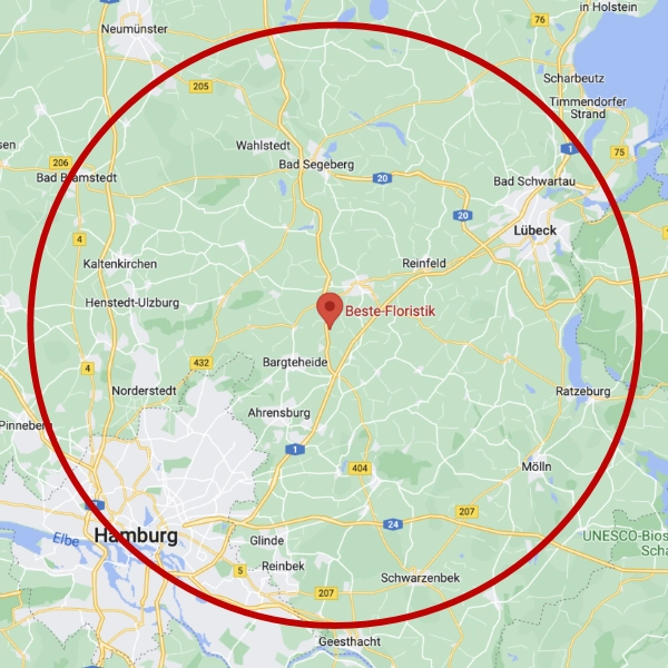 Das Liefergebiet von Beste-Floristik liegt zwischen Hamburg und Lübeck - die Städte mit eingeschlossen